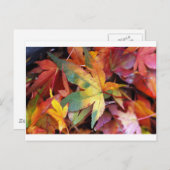 Carte Postale Belle impression de feuilles d'automne (Devant / Derrière)