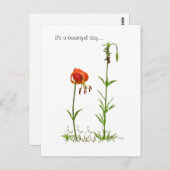 Carte Postale Belle Journée... (Devant / Derrière)