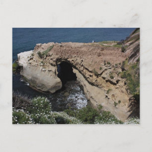 Carte Postale Belle La Jolla