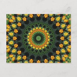 Carte Postale Belle Lantana orange et jaune Kaleidoscope 1