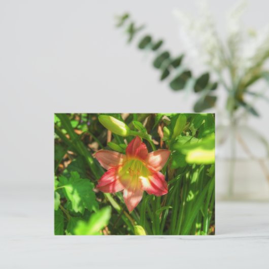 Carte Postale Belle Lily (Debout devant)