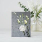 Carte Postale Belle Lisianthus Fleurs Blanches (Debout devant)