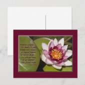 Carte Postale Belle Lit D'Eau Rose Sur Des Lys (Devant / Derrière)