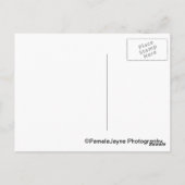 Carte Postale Belle Maison (Dos)