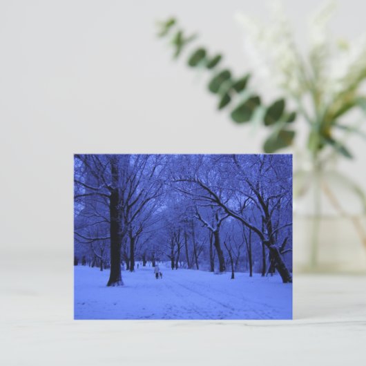 CARTE POSTALE BELLE MARCHE (Debout devant)