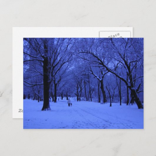 CARTE POSTALE BELLE MARCHE (Devant / Derrière)