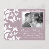 Belle Mariposas Blanc Bleu Photo