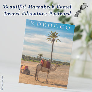 Carte Postale Belle Marrakech Camel Desert Adventure