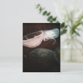 Carte Postale Belle méduse (Debout devant)