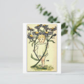 Carte Postale Belle Michaelmas Daisy par NELLIE BENSON (Debout devant)