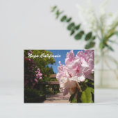 Carte Postale Belle Mont La Salle (Debout devant)