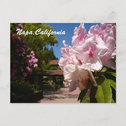 Carte Postale Belle Mont La Salle (Devant)