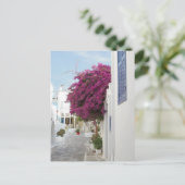 Carte Postale Belle Mykonos (Debout devant)