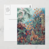 Carte Postale Belle Nature - Mousses (Devant / Derrière)