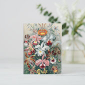 Carte Postale Belle Nature - Orchidées (Debout devant)