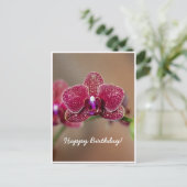 Carte Postale Belle Orchidée rouge personnalisable Anniversaire (Debout devant)