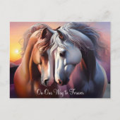 Carte Postale Belle paire de chevaux pour l'Anniversaire (Devant)