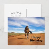 Carte Postale Belle photo d'anniversaire de cheval brun sur une  (Devant / Derrière)