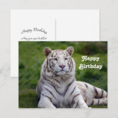 Carte Postale Belle photo d'anniversaire de tigre blanc (Devant / Derrière)