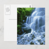 Carte Postale Belle photo de la rivière Columbia (Devant / Derrière)