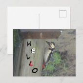 Carte postale Belle Pic en bois sur la boîte de nu (Devant / Derrière)