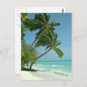 Carte Postale Belle plage, Maldives (Devant / Derrière)