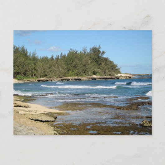 Carte Postale Belle plage Ocean Beach Oahu Hawaii (Devant)