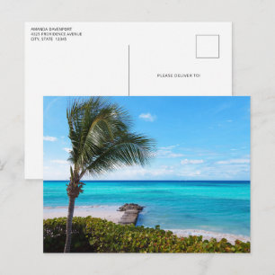 Carte Postale Belle plage tropicale aux palmiers venteux