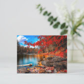 Carte Postale belle planète 15 (Debout devant)