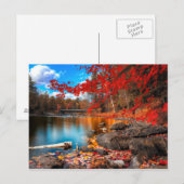 Carte Postale belle planète 15 (Devant / Derrière)