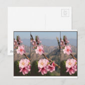 Carte Postale Belle plantation de fruits UttraKHAND Flower India (Devant / Derrière)