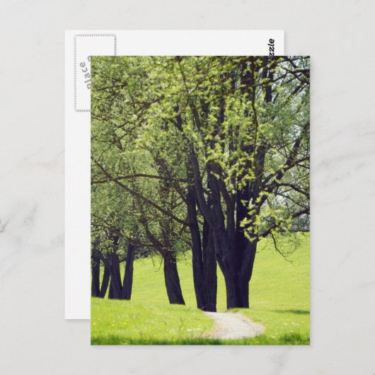 Carte Postale Belle prairie (Devant / Derrière)