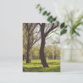 Carte Postale Belle prairie (Debout devant)