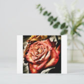 Carte Postale Belle Rose (Debout devant)