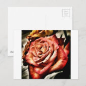 Carte Postale Belle Rose (Devant / Derrière)