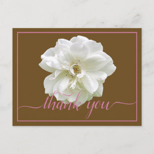 Carte Postale Belle Rose blanche Couleur fond Merci chic