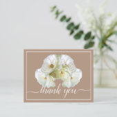 Carte Postale Belle Rose Blanche Fond de Couleur Arrière Chic Me (Debout devant)