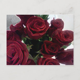 CARTE POSTALE BELLE ROSE ROUGE