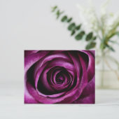 Carte Postale Belle Rose violette Fleur Pétales Fille Cadeaux (Debout devant)