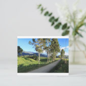 Carte Postale Belle route de campagne Salento Colombie (Debout devant)