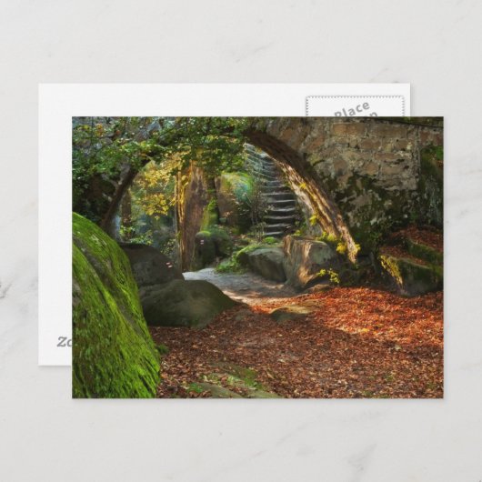 Carte Postale Belle scène d'automne (Devant / Derrière)