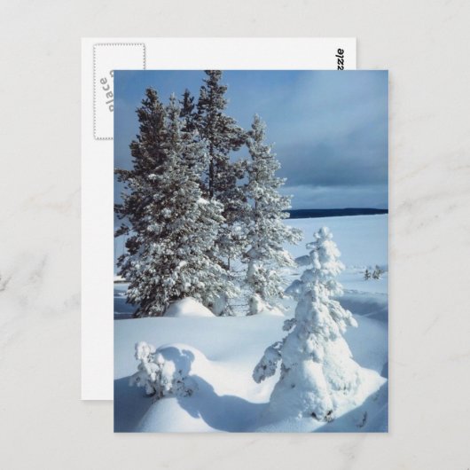 Carte Postale Belle scène d'hiver (Devant / Derrière)