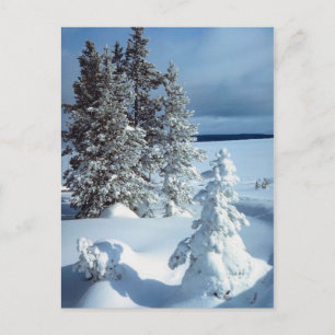 Carte Postale Belle scène d'hiver