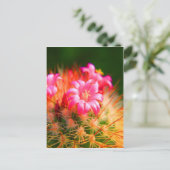 Carte Postale Belle Sticky Cactus fleurs Cactus (Debout devant)