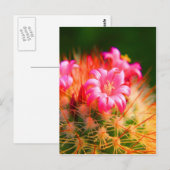 Carte Postale Belle Sticky Cactus fleurs Cactus (Devant / Derrière)
