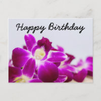 Belle tige de pourpre orchidée à l'anniversaire bl