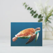 Carte Postale Belle tortue verte (Debout devant)