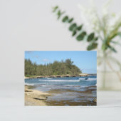 Carte Postale Belle Turtle Bay Ocean Beach Oahu Hawaii (Debout devant)