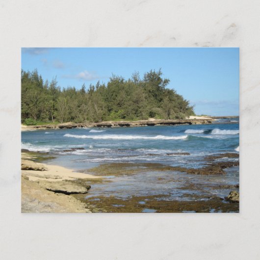 Carte Postale Belle Turtle Bay Ocean Beach Oahu Hawaii (Devant)