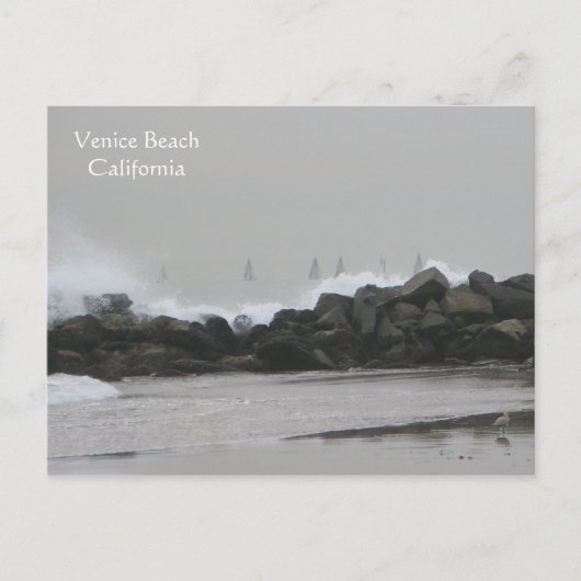 Carte Postale Belle Venice Beach Postacard ! (Devant)